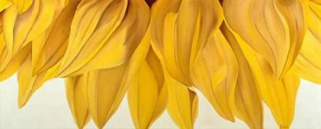 Sunny Yellow Canvas Art - Yvonne Poelstra-Holzhaus (10 x 20)
