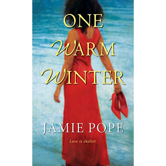 Pre-Owned One Warm Winter 9781496718273 Used