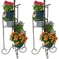 thumbnail image 1 of Sunnydaze 56.25" H 4-Tier Black Iron Spiral Staircase Plant Stand (2 Count), 1 of 10