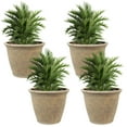 thumbnail image 1 of Sunnydaze Anjelica 24" x 24" x 20" Round Beige Polyresin Outdoor Planter Pot 4-Count, 1 of 15