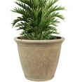 thumbnail image 1 of Sunnydaze Anjelica 24" x 24" x 20" Round Beige Polyresin Outdoor Planter Pot, 1 of 15