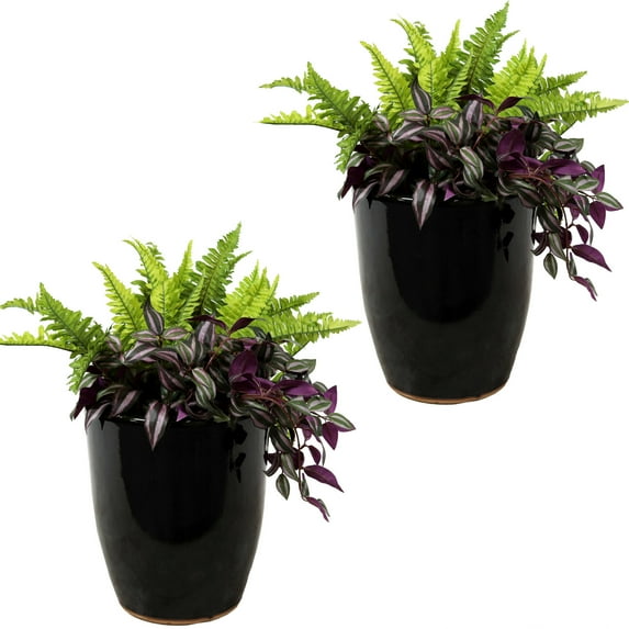 Sunnydaze Captivating Vista 11.5" x 11.5" x 14" Round Obsidian Ceramic Planter 2-Count