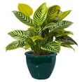 thumbnail image 1 of Sunnydaze Chalet 14.5" x 14.5" x 11.25" H Round Dark Green Ceramic Solid Plant Pot, 1 of 13