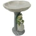 thumbnail image 1 of Sunnydaze Freestanding Polyresin Outdoor Bird Bath, Brooding Frog on a Stone, 1 of 13