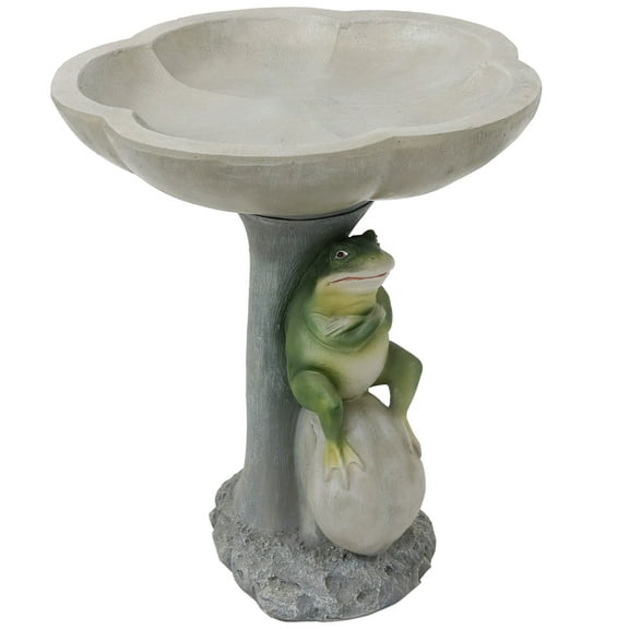 Sunnydaze Freestanding Polyresin Outdoor Bird Bath, Brooding Frog on a Stone