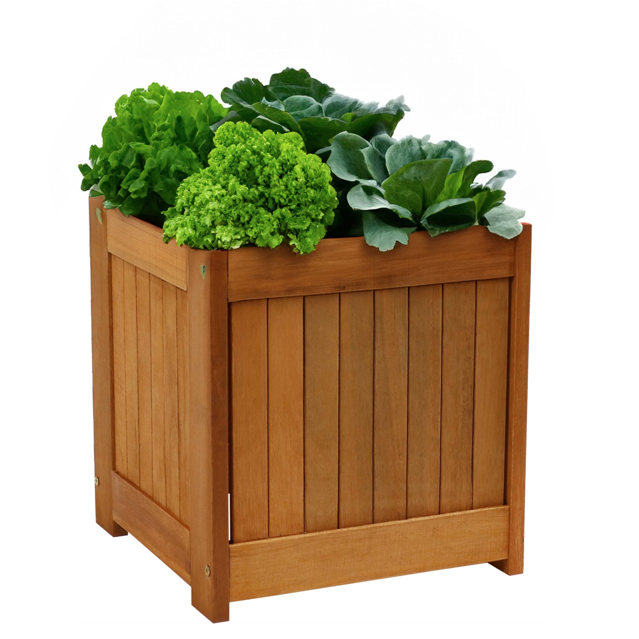 Meranti Wood 16-Inch Square Planter Box with Teak Oil Finish