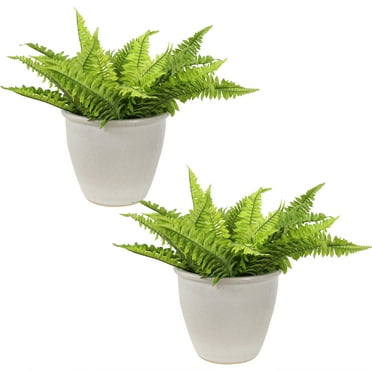 Sunnydaze Ocean Villa 11.75" x 11.75" x 10" Round Pearl Ceramic Outdoor Planter 2-Count