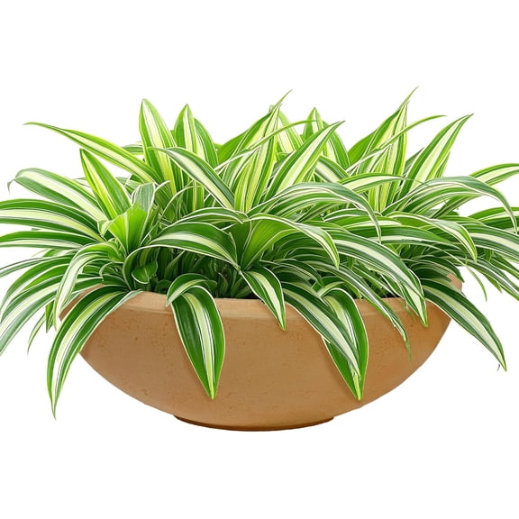 Sunnydaze Percival 20.75" Shallow Outdoor Planter Bowl for Flowers and Succulents - Polyresin Double-Walled Design - Sand