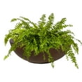 thumbnail image 1 of Sunnydaze Percival 20.75" x 20.75" x 11.5" Round Rust Polyresin Outdoor Planter Pot, 1 of 15