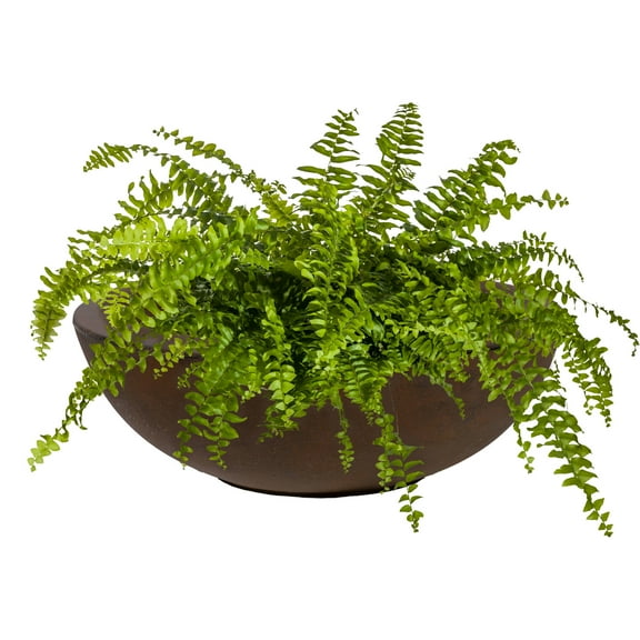 Sunnydaze Percival 20.75" x 20.75" x 11.5" Round Rust Polyresin Outdoor Planter Pot