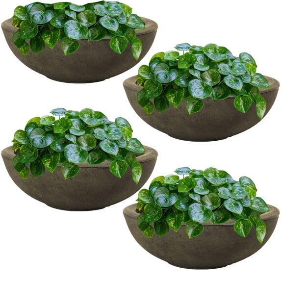 Sunnydaze Percival 20.75" x 20.75" x 11.5" Round Sable Polyresin Outdoor Planter Pot 4-Count