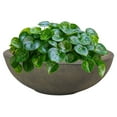 thumbnail image 1 of Sunnydaze Percival 20.75" x 20.75" x 11.5" Round Sable Polyresin Outdoor Planter Pot, 1 of 11