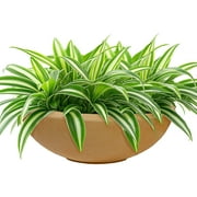 Sunnydaze Percival 20.75" x 20.75" x 11.5" Round Sand Polyresin Outdoor Planter Pot