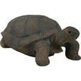 thumbnail image 1 of Sunnydaze Todd the Tortoise Indoor/Outdoor Garden Statue - 30", 1 of 9