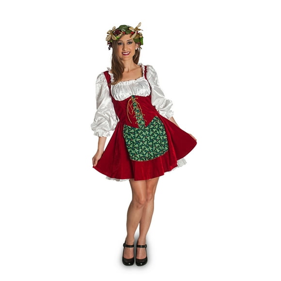 Sunnywood Miss Santa Adult Costume
