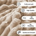 thumbnail image 1 of Sunocda Throw Blanket, 70x100CM Extra Large Super Soft Thick Double Layer Raschel Fleece Blanket - Solid Color Velvet Throw Blanket for Couch Bed Sofa Home Decor, 1 of 6