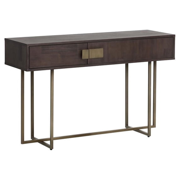 Sunpan Jade 51" Transitional Wood Console Table in Antique Brass/Brown