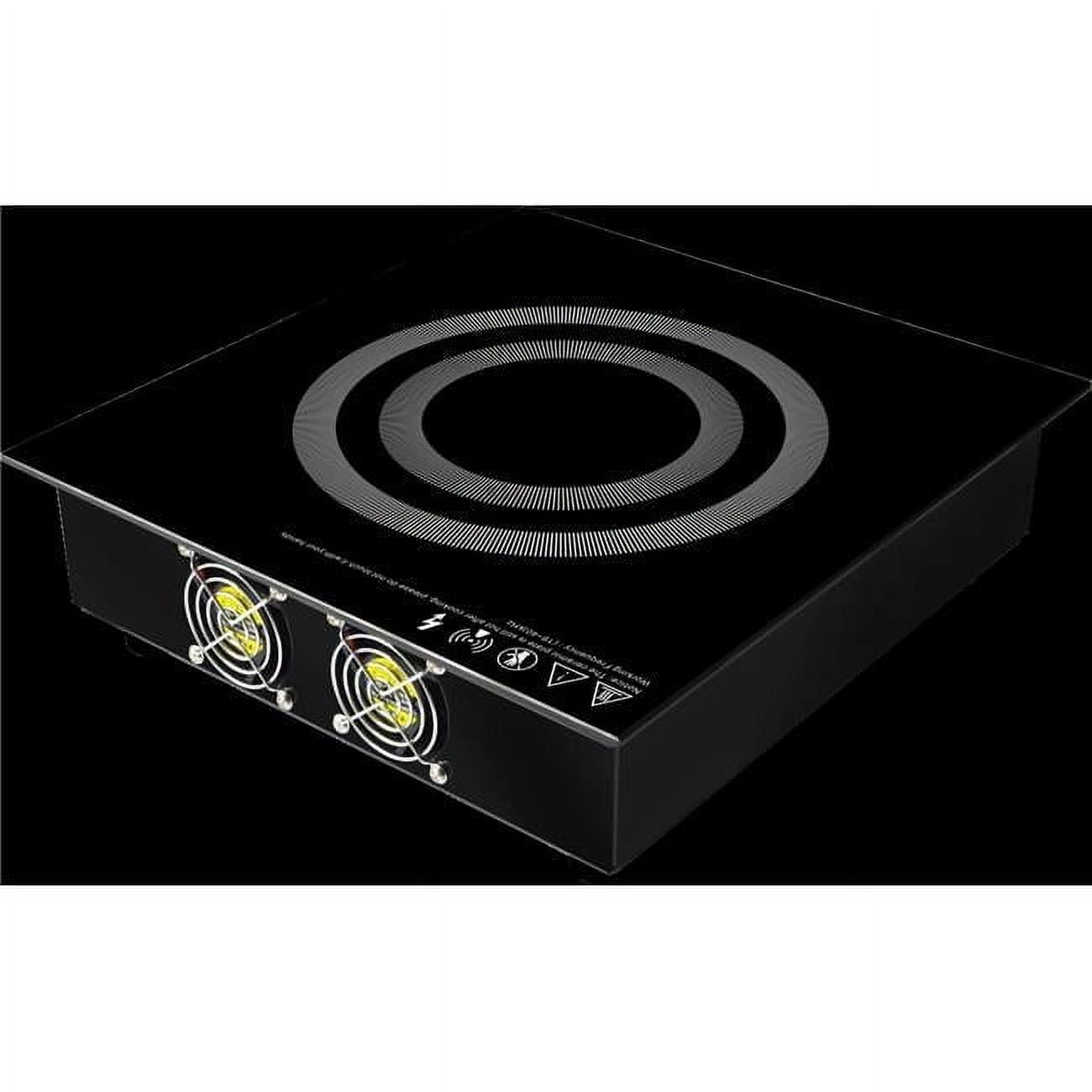 Sunpentown SR-65ARA 2600 watt & 220-240V Built-in Commercial Induction Range Cooktop