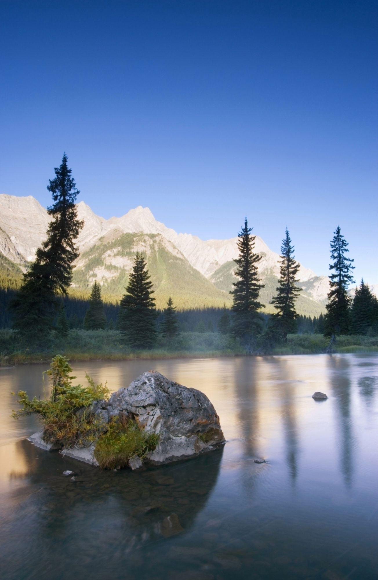 Sunrise And Early Morning Mist On Mountain River Canvas Art - Carson Ganci Design Pics (11 x 17)