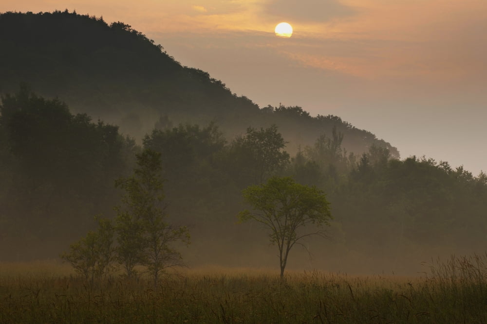 Sunrise And The Early Morning Fog Iron Hill Quebec Canada Canvas Art - David Chapman Design Pics (19 x 12)