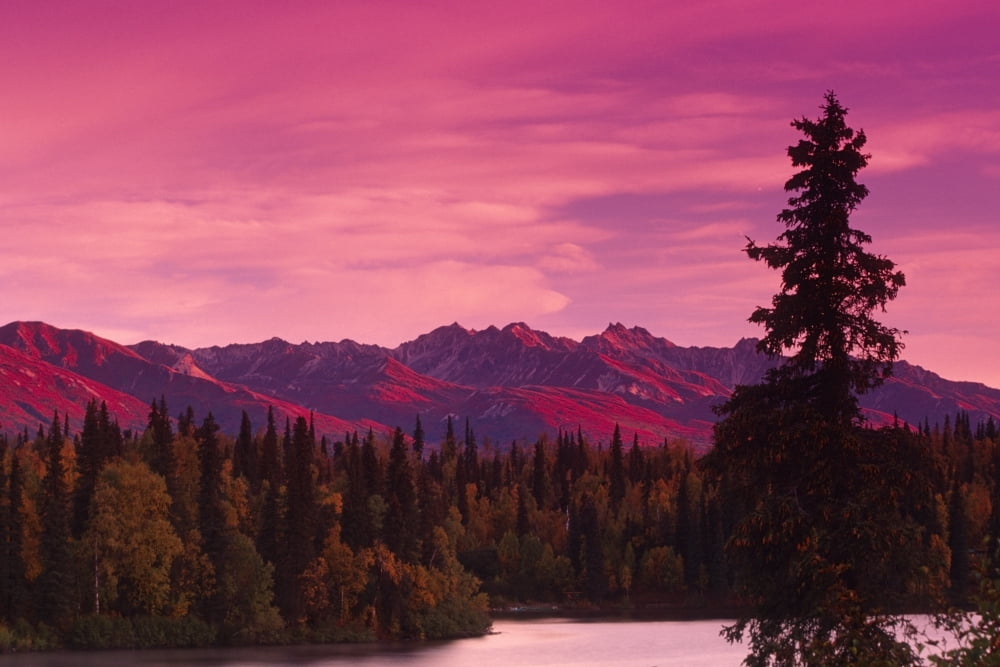 Sunrise Byers Lake Alaska Range Fall Southcentral Ak Canvas Art - Kevin Smith Design Pics (34 x 22)