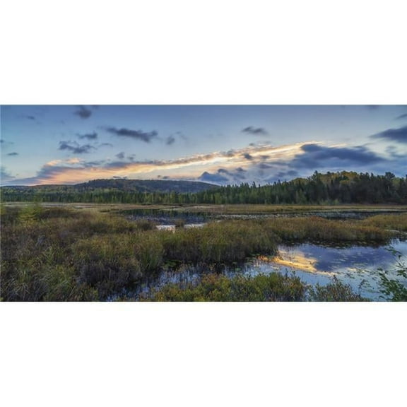 Sunrise Colors The Autumn Sky Above Costello Creek in Algonquin Park - Ontario Canada Poster Print - 44 x 20 in. - Large