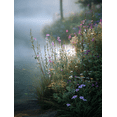 thumbnail image 1 of Sunrise Floral Landscape Watercolor Canvas Print, Living Room Bedroom Dining Room Office Hotel Decor, 1 of 8