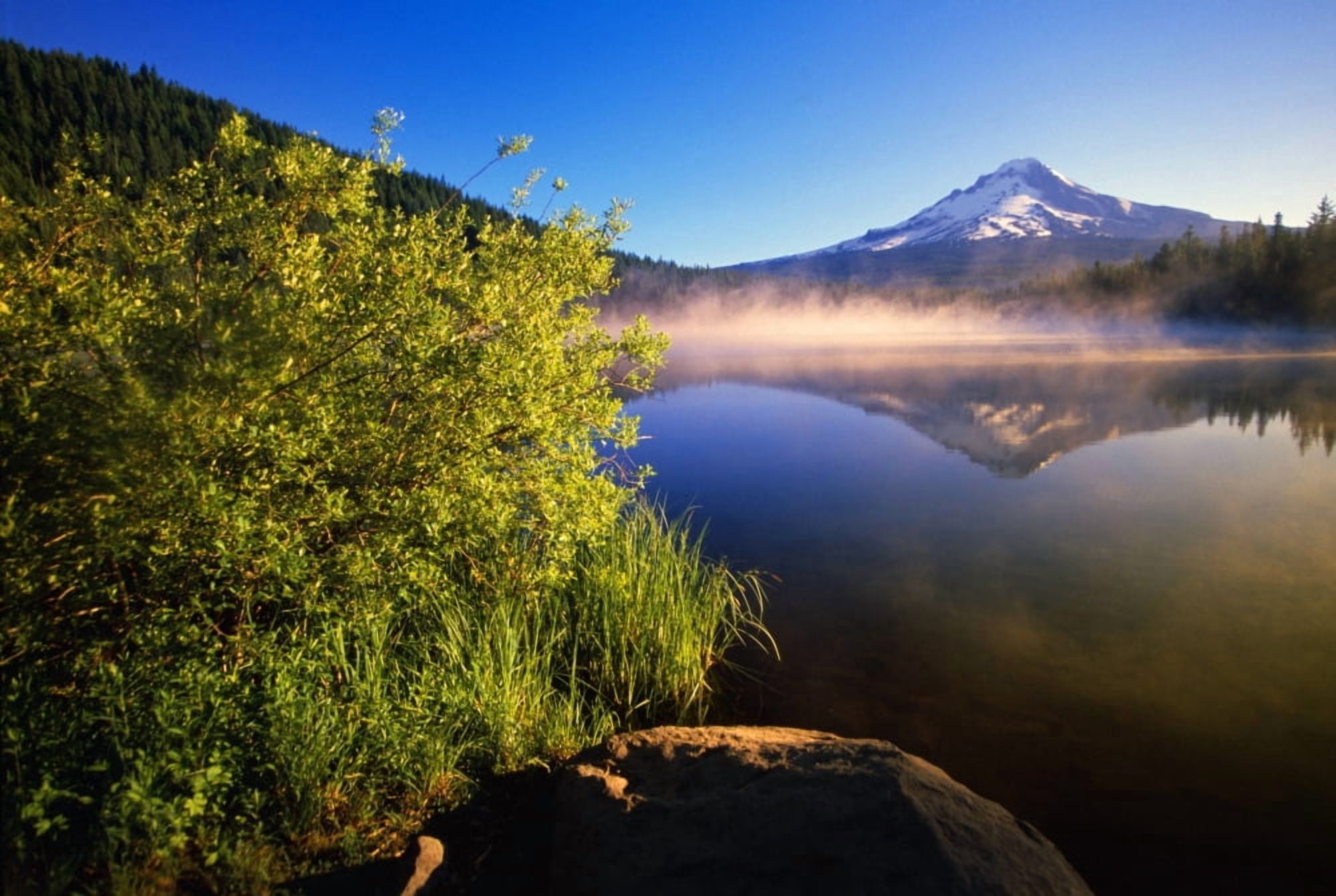 Sunrise Fog On Trillium Lake Reflection Of Mount Hood Canvas Art - Natural Selection Craig Tuttle Design Pics (36 x 24)