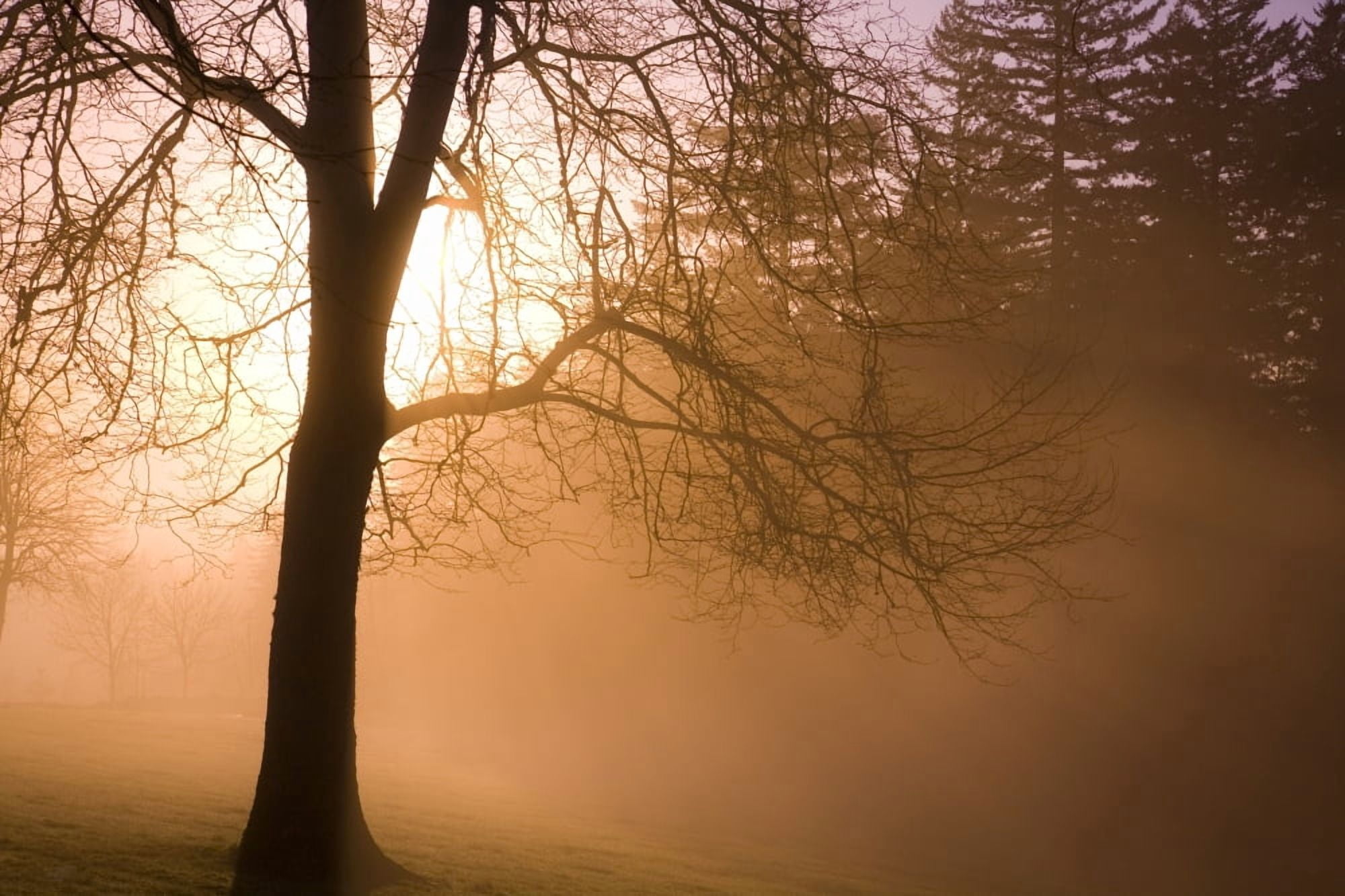 Sunrise Happy Valley Oregon Usa Canvas Art - Craig Tuttle Design Pics (17 x 11)
