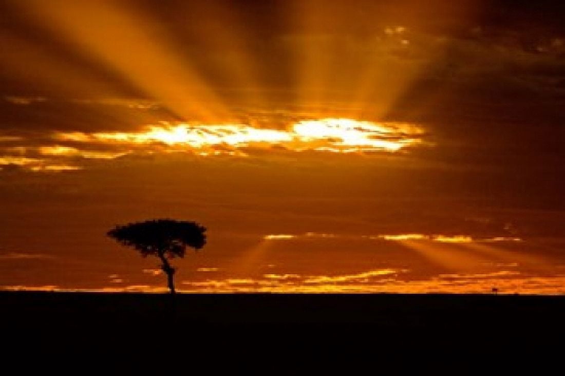 Sunrise Maasai Mara Kenya Canvas Art - Joe Restuccia III DanitaDelimont (38 x 25)