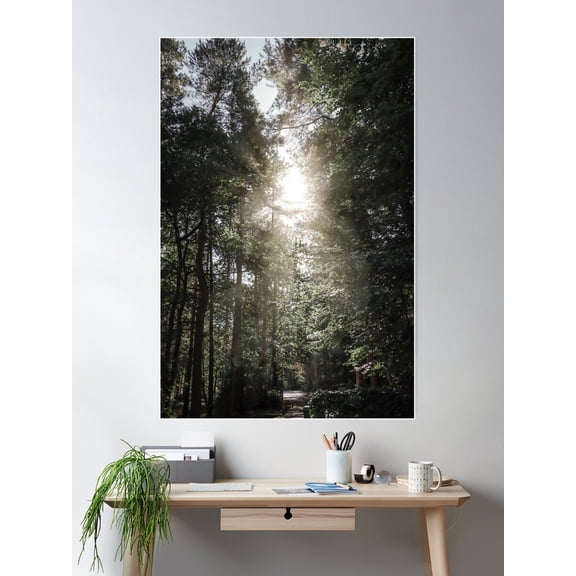 Sunrise Moody Forest Poster Wall Art, Modern Wall Decor For Living Room Bedroom, 16x24 UNFRAMED