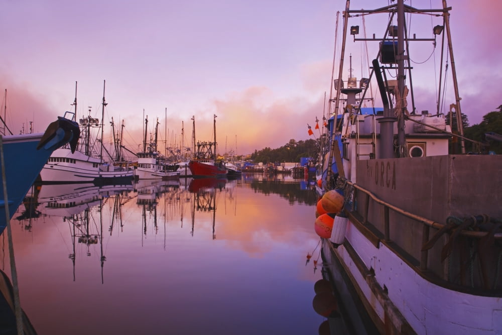 Sunrise Through The Morning Fog And Fishing Boats In Newport Harbor Newport Oregon United States Of America Canvas Art - Craig Tuttle Design Pics (38 x 24)