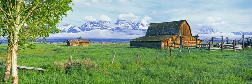 Sunrise over the Moulton Barn along Mormon Row Teton Range Mormon Row Historic District Grand Teton National Park Wyoming USA Canvas Art - Panoramic Images (36 x 12)