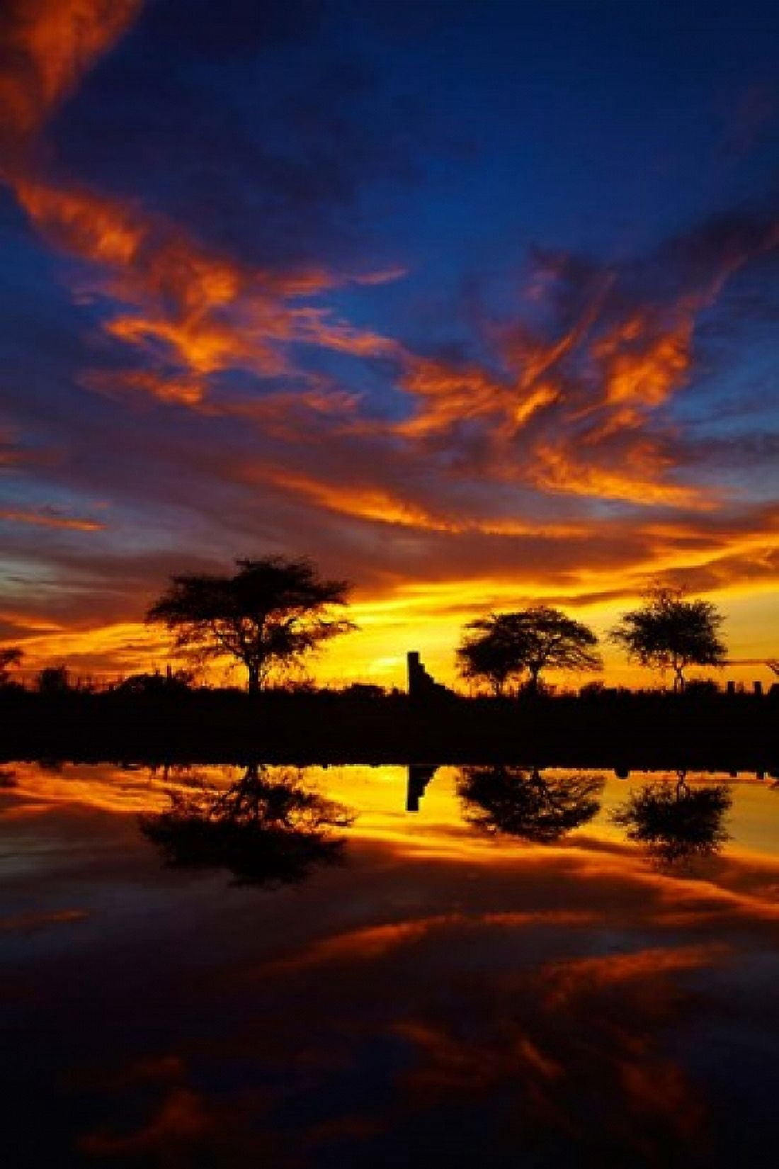 Sunrise Okaukuejo Rest Camp Etosha National Park Namibia Canvas Art - David Wall DanitaDelimont (25 x 38)