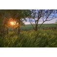 thumbnail image 1 of Sunrise On A Farm During The Summer In Central Alberta Poster Print, 1 of 2
