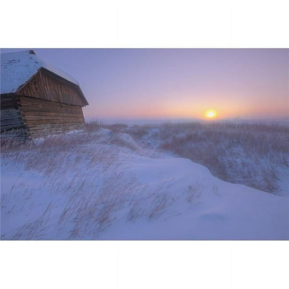 Sunrise On Abandoned Snow-Covered Homestead -40 Celsius Alberta Prairie Poster Print - 34 x 22 - Large