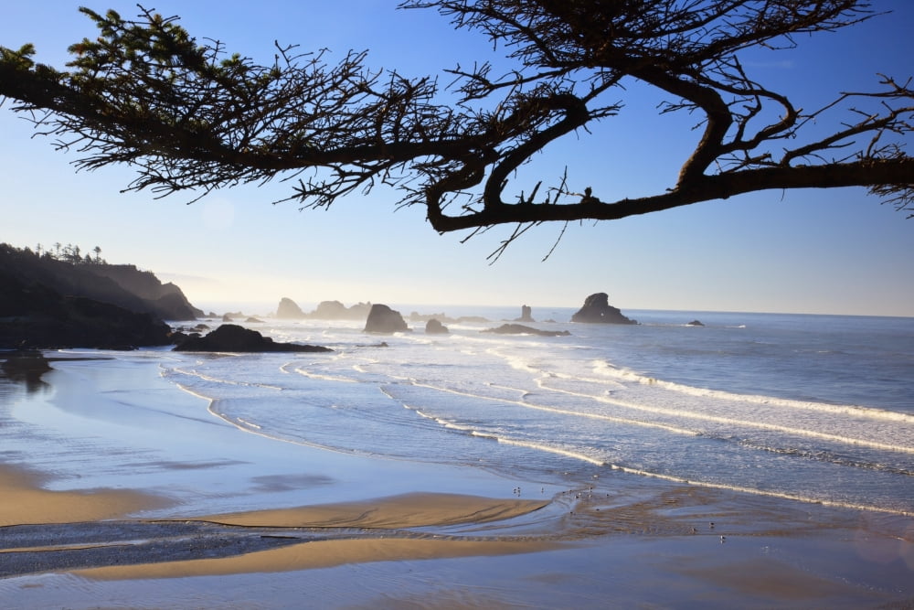Sunrise On Indian Beach Oregon United States Of America Canvas Art - Craig Tuttle Design Pics (19 x 12)