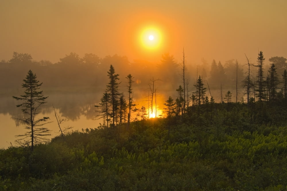 Sunrise On Marsh Torrance Barrens Conservation Reserve In Muskoka Ontario Canvas Art - Mike Grandmaison Design Pics (18 x 12)