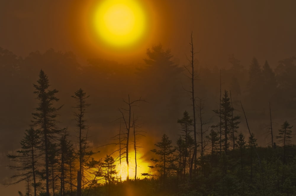 Sunrise On Marsh Torrance Barrens Conservation Reserve In Muskoka Ontario Canvas Art - Mike Grandmaison Design Pics (36 x 24)
