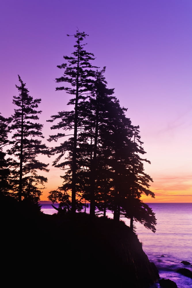 Sunrise On Monashka Bay At Ft Abercrombie State Park On Kodiak Island Alaska Canvas Art - Michael DeYoung Design Pics (12 x 19)