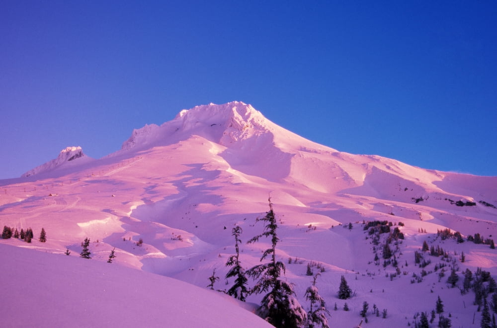 Sunrise On Mt Hood Oregon Usa Canvas Art - Natural Selection Craig Tuttle Design Pics (36 x 24)