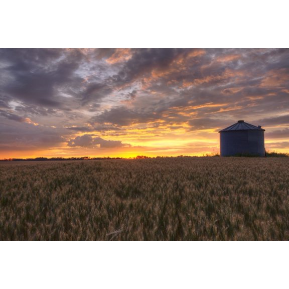 Sunrise Over A Barley Field And Grain Silo On A Farm In Central Alberta Poster Print