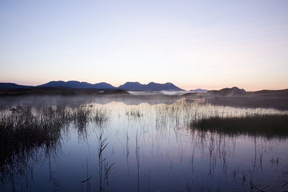 Sunrise Over Bog Lake Clifden County Galway Ireland Canvas Art - Peter Zoeller Design Pics (19 x 12)