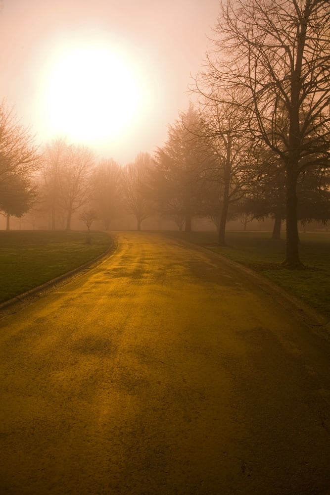 Sunrise Over Country Road Oregon United States Of America Canvas Art - Craig Tuttle Design Pics (11 x 17)