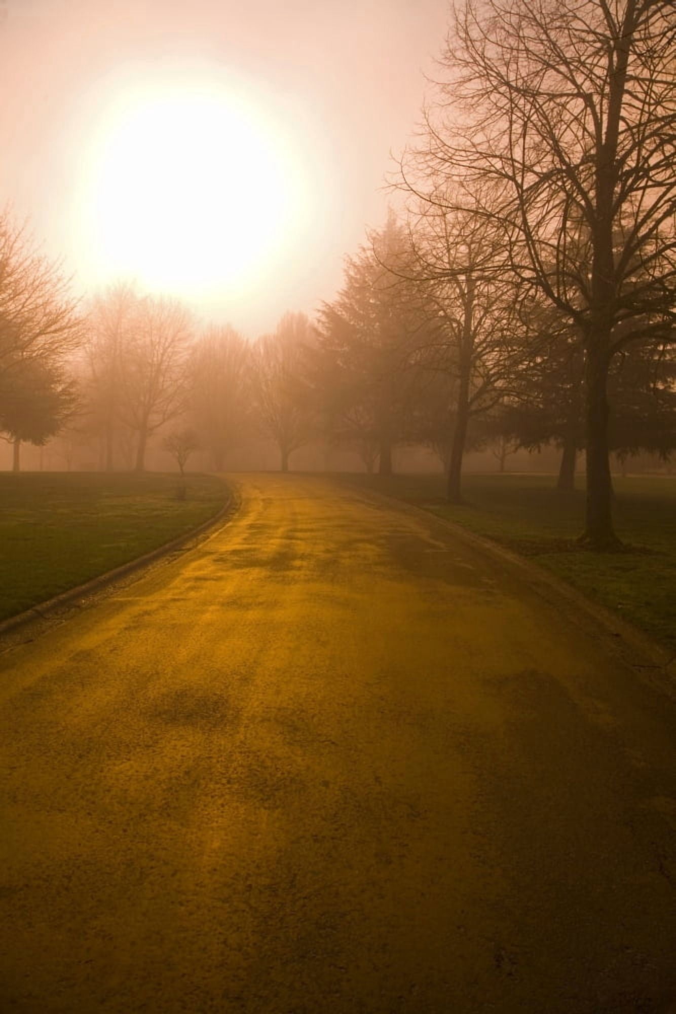 Sunrise Over Country Road Oregon United States Of America Canvas Art - Craig Tuttle Design Pics (22 x 34)