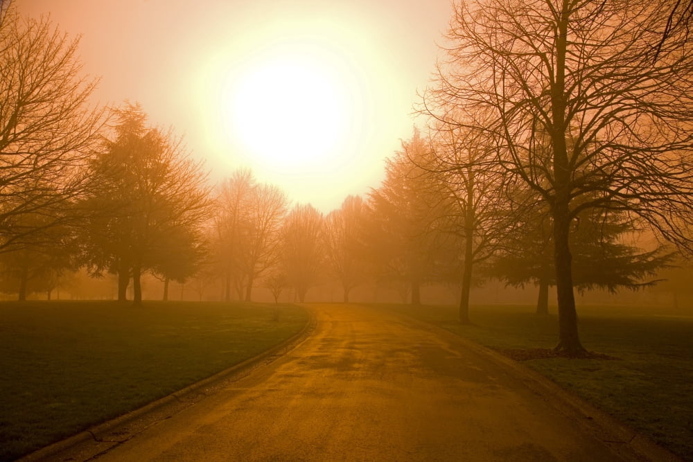 Sunrise Over Country Road Oregon United States Of America Canvas Art - Craig Tuttle Design Pics (34 x 22)