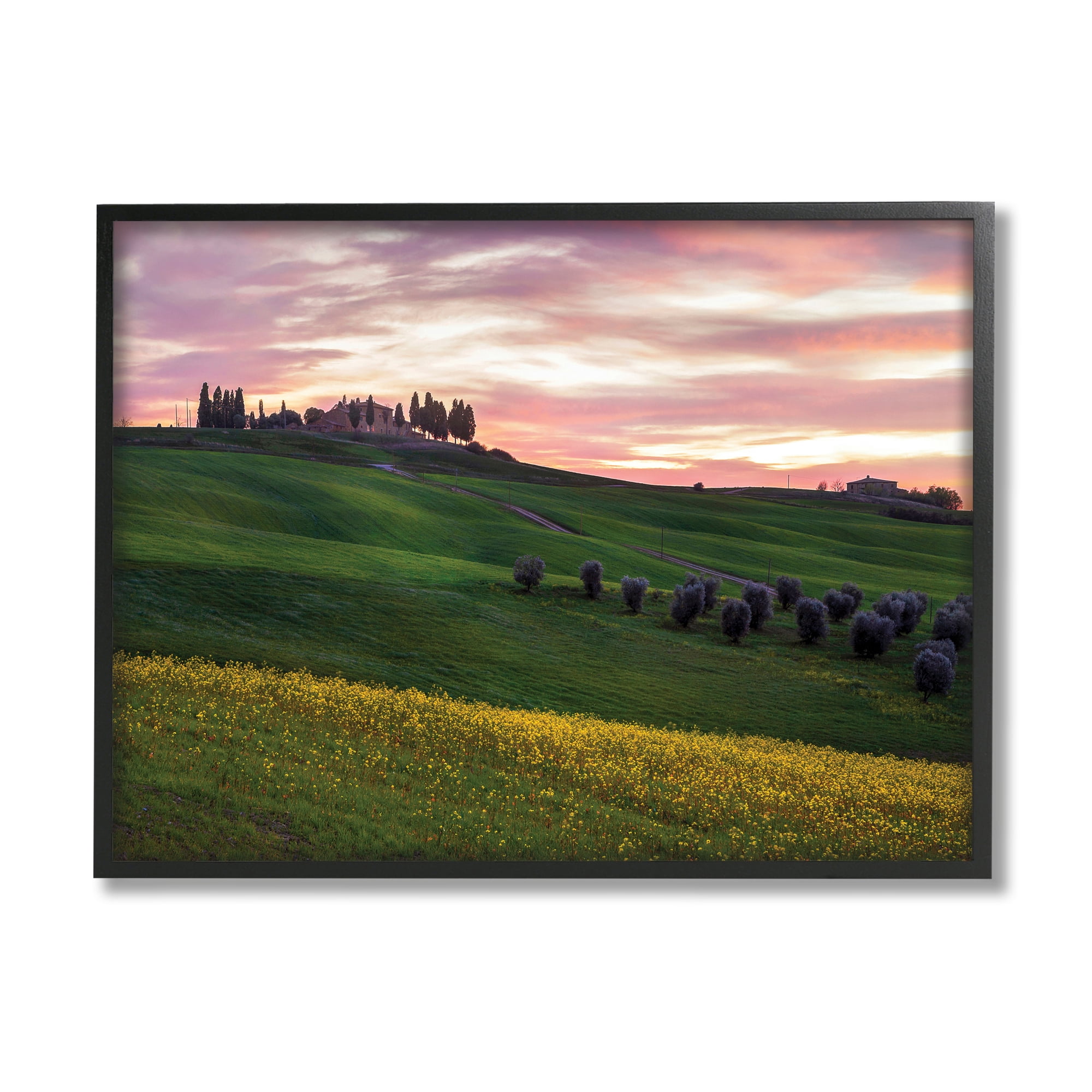 Sunrise Over Countryside Hills Yellow Floral Field 14 in x 11 in Framed Photography Art Print, by Stupell Home Décor