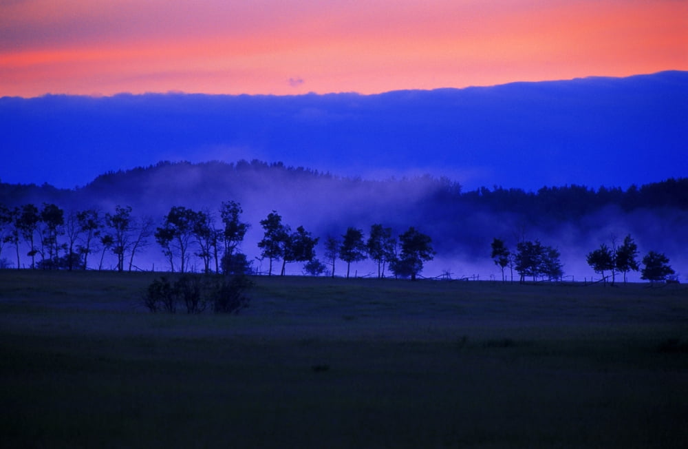 Sunrise Over Field With Trees Canvas Art - Jason Witherspoon Design Pics (17 x 11)