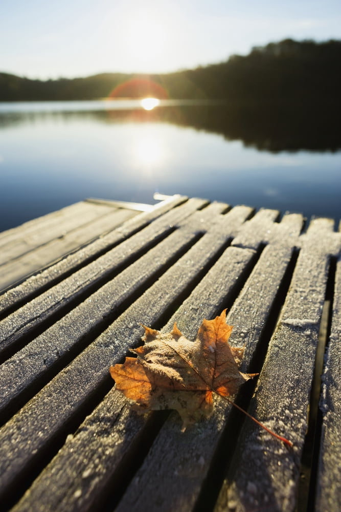 Sunrise Over Leaf On Floating Dock In Mont-Saint-Bruno National Park Quebec Canada Canvas Art - Yves Marcoux Design Pics (12 x 18)