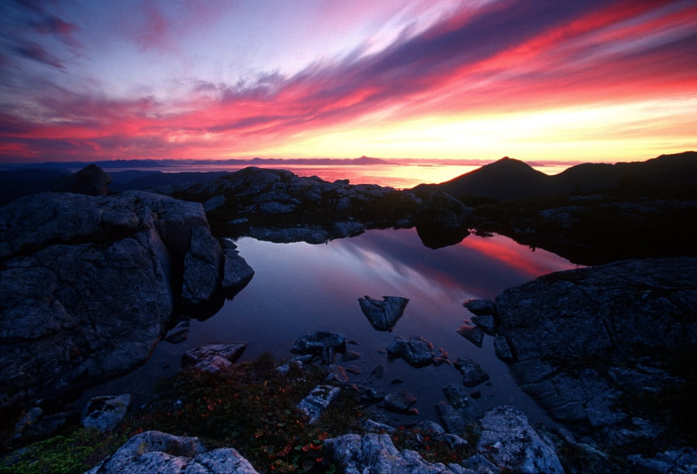 Sunrise Over Pond Short Arm Peak Prince Of Wales Is Ak Se Summer Canvas Art - Chip Porter Design Pics (32 x 22)
